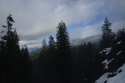 DSC_0865 (Large).JPG